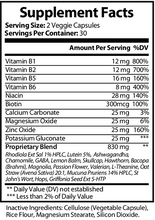 Load image into Gallery viewer, Neuro Day